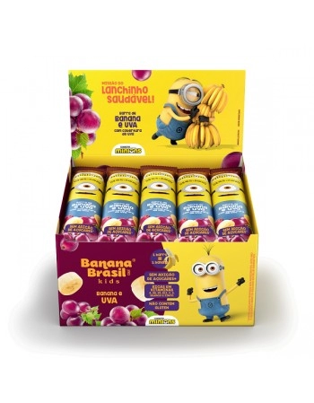 BARRA FRUTAS KIDS UVA 20X22G -B BRASIL